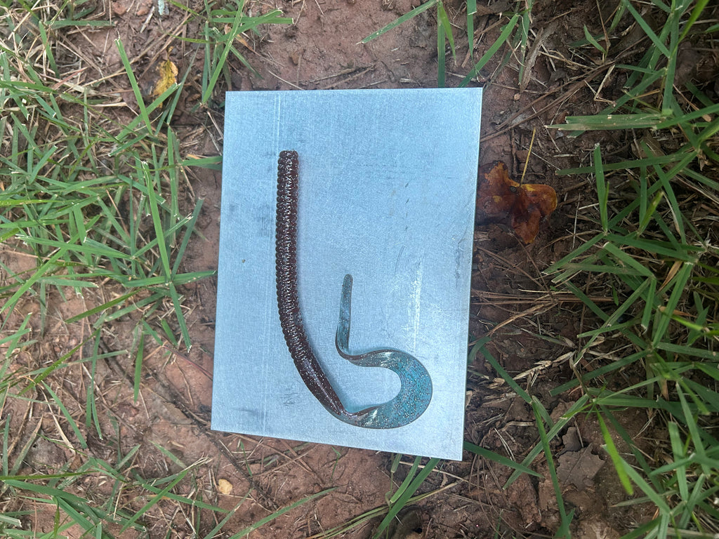 Curly Tailed Worm (10 in)
