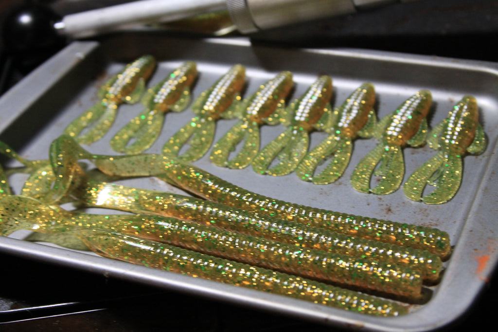 Curly Tailed Worm (10 in)