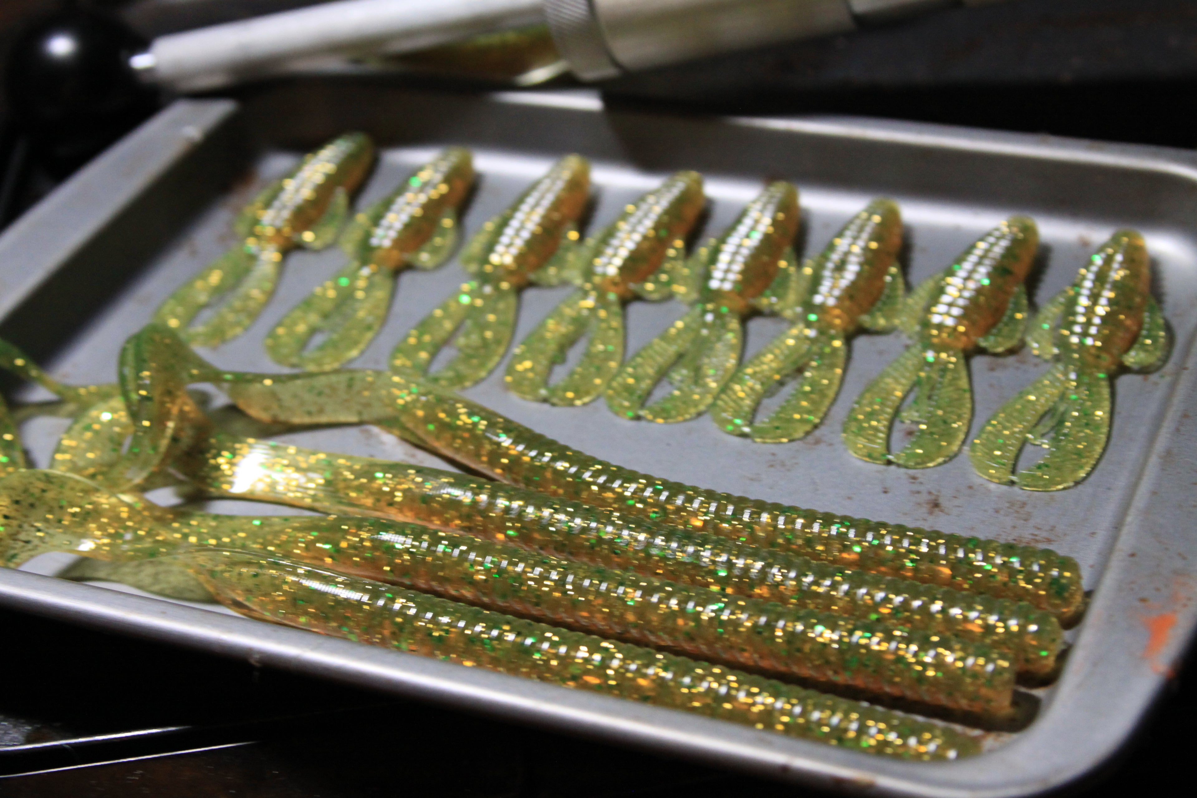 Curly Tailed Worm (10 in)