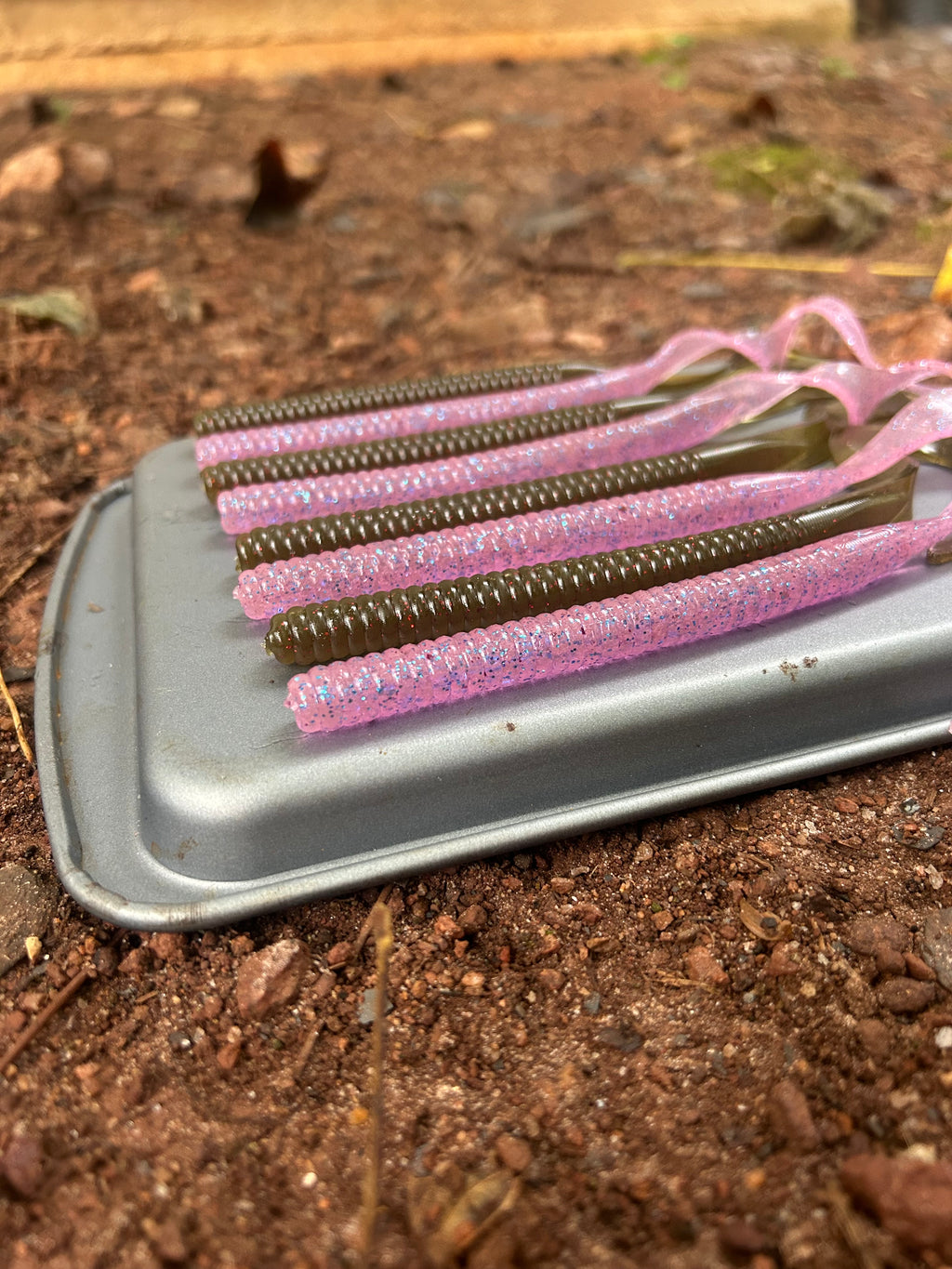 Curly Tailed Worm (10 in)