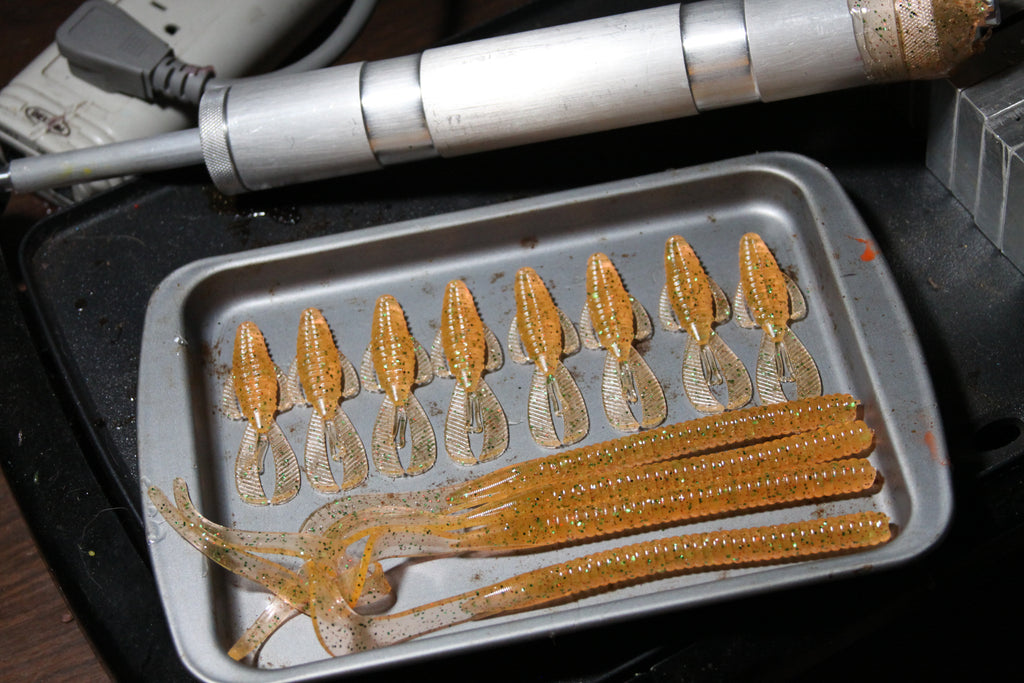 Curly Tailed Worm (10 in)