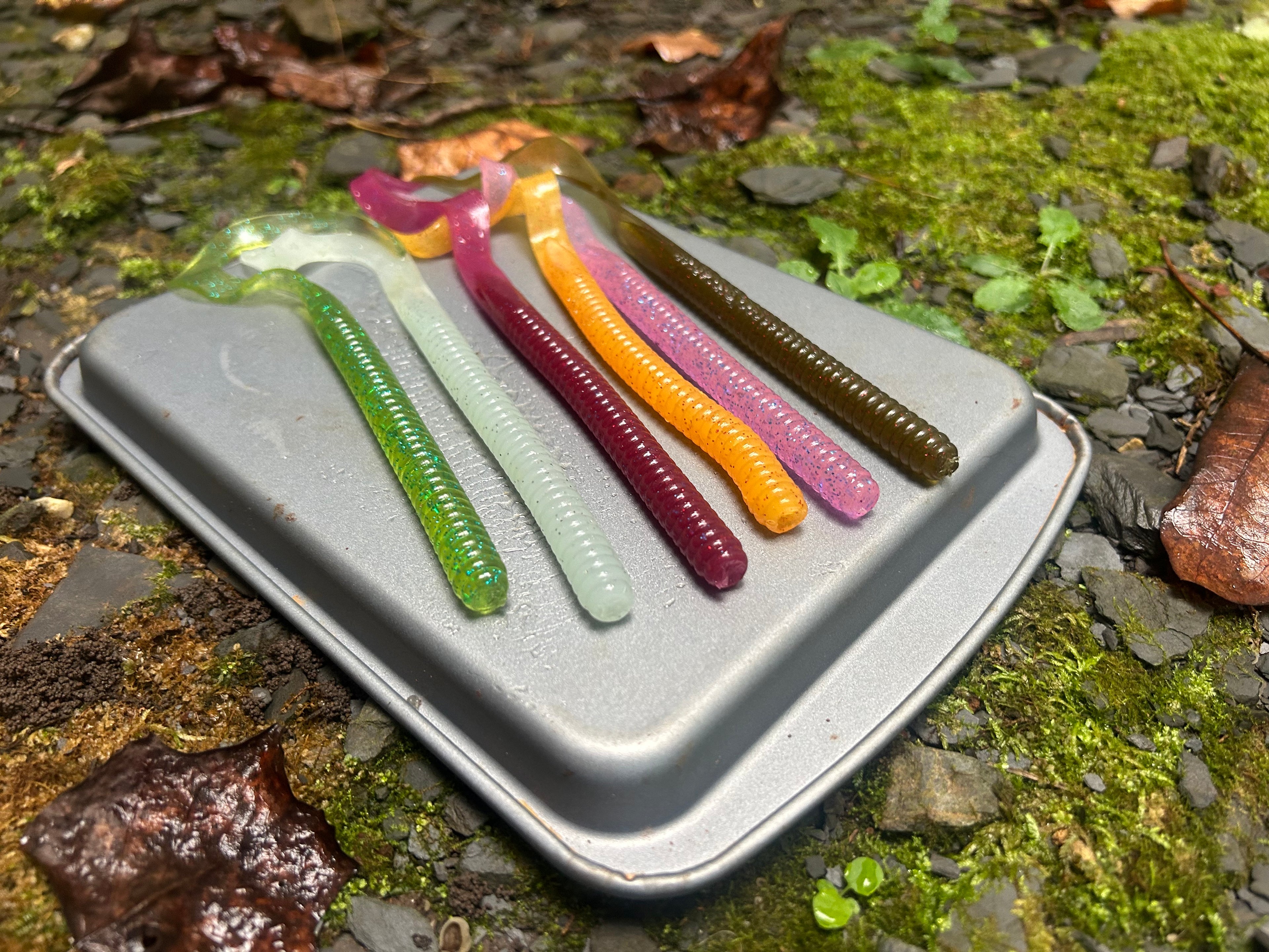 Curly Tailed Worm (10 in)