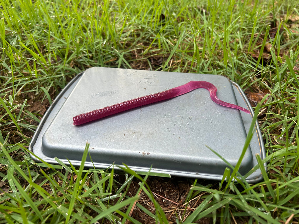 Curly Tailed Worm (10 in)