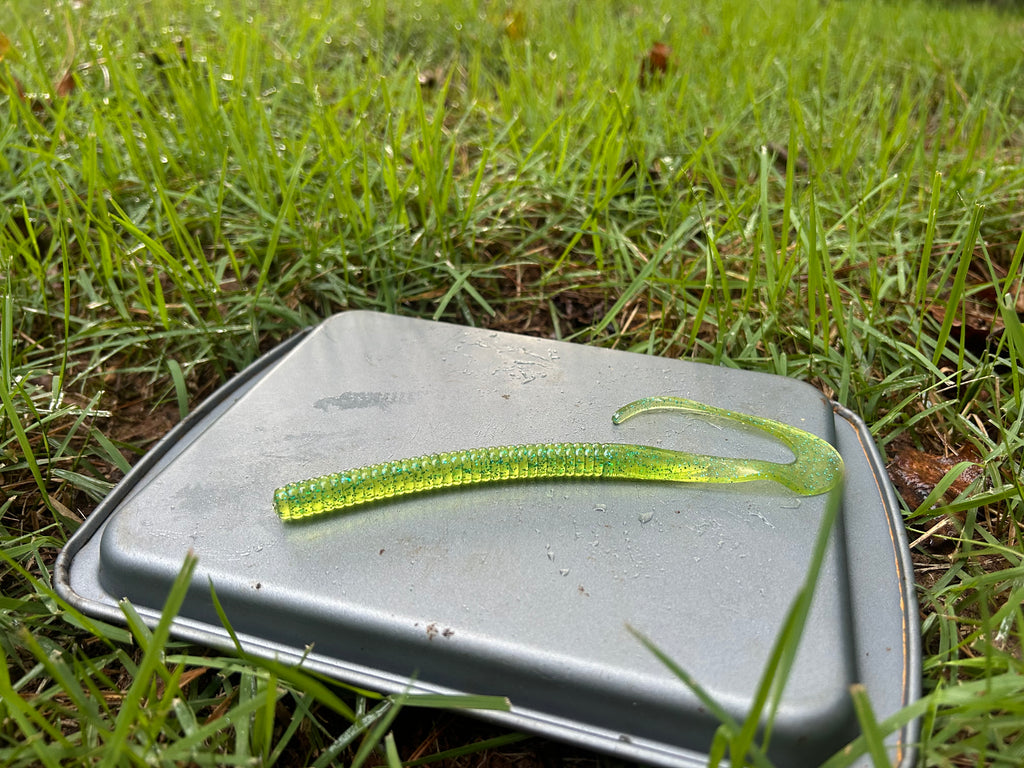 Curly Tailed Worm (10 in)