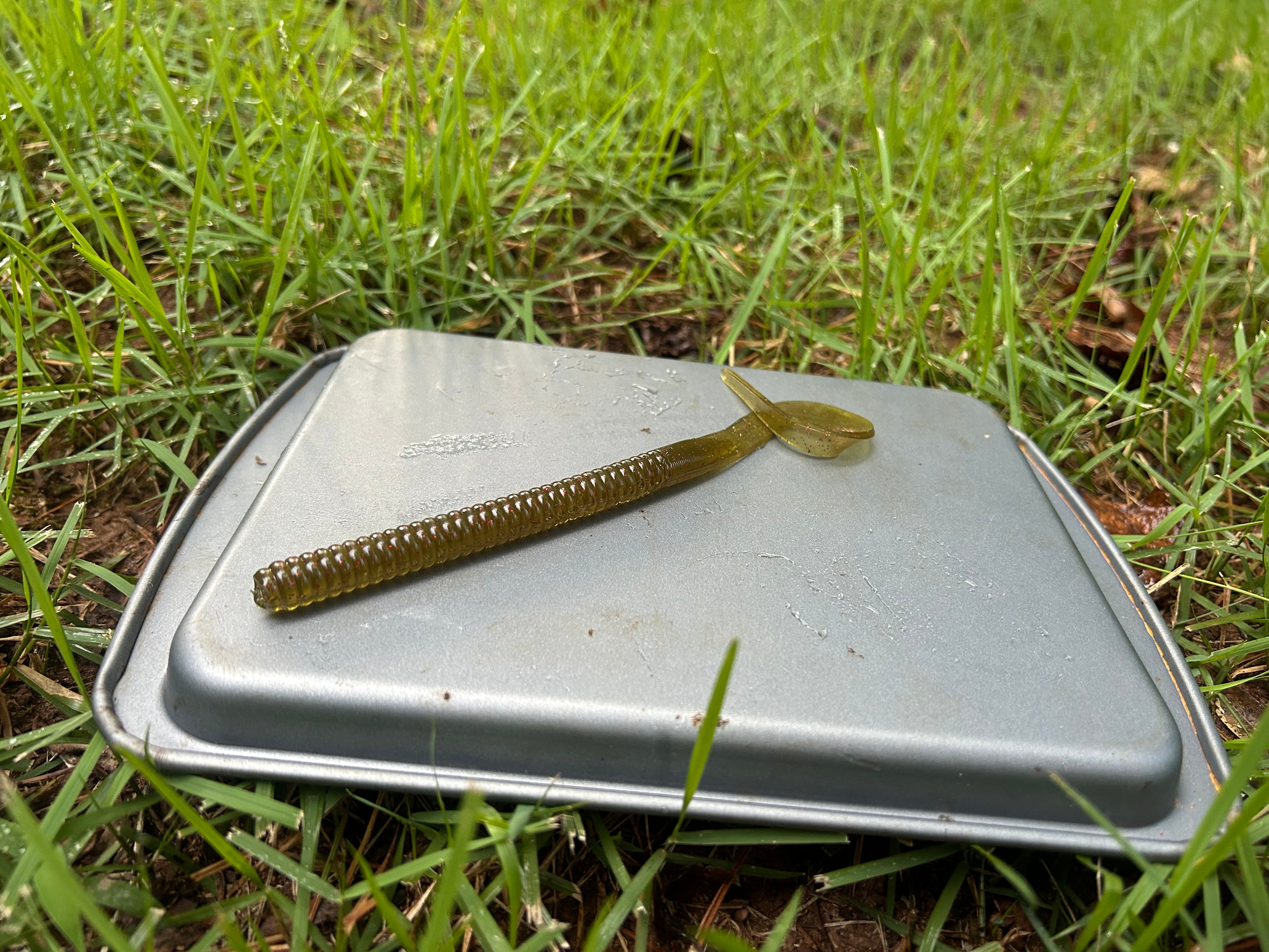 Custom Curly Tailed Worm (10in)