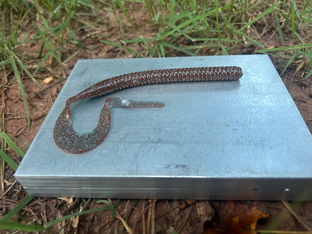 Curly Tailed Worm (10 in)