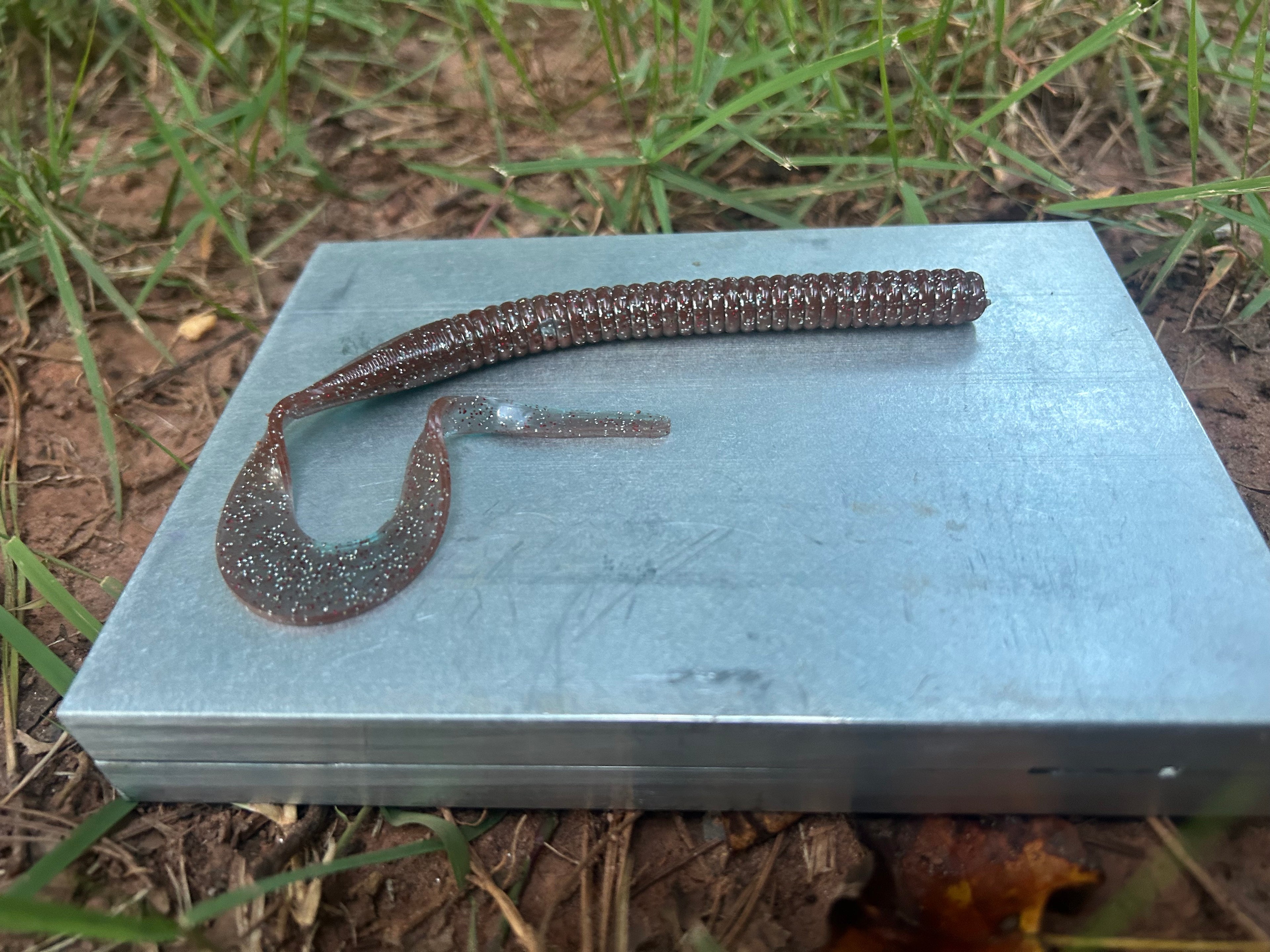 Curly Tailed Worm (10 in)